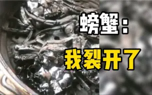 男子半夜蒸螃蟹忘记时间，最后螃蟹变“碳蟹”