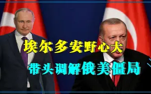乌克兰跟美国翻脸（下）：埃尔多安喊话普京，快救救乌克兰