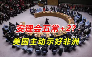五常+2？美国带头表态，要给非洲国家送大礼，但有一个条件