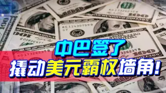 卢拉还没来，中巴就传好消息：去美元化再添大将，战略意义显著