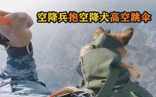 帅！空降兵抱空降犬高空跳伞