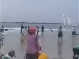台风后生蚝遍地市民组团赶海！福州市民劝外地人台风后勿盲目赶海