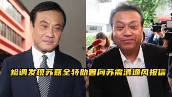 受贿案调查前，苏嘉全的特助曾向苏震清通风报信，专家：有猫腻