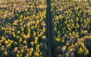 吉林自驾，风景似画！和爱的人去一次长白山，在G331吉林段邂逅秋日童话！