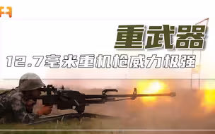 12.7毫米重机枪威力有多顶？轻松穿透5块砖头，目标被打成筛子