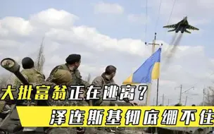 大批富翁正在逃离只因白宫说了一句话，泽连斯基彻底绷不住了