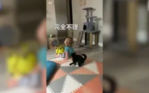 可爱！萌娃呆坐在地板上看动画片 背后小奶猫气炸：怎么不理我！
