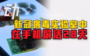 新冠病毒可在手机屏幕存活28天？专家：实验室与实际情况出入大
