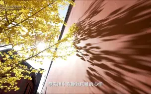 “我的家乡美·湘约马栏山”优秀短视频征集展示活动｜大匠运金 流转时光