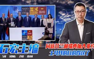 同意芬兰和瑞典加入北约，土耳其的目的得逞了，但开了一个坏头