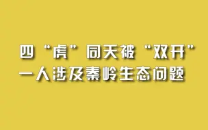四“虎”同天被“双开”，一人涉及秦岭生态问题。