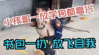 小孩哥一放学狗都高兴 书包一扔 放飞自我！
