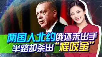 还没等俄出手，两国先被“自己人”扣帽子，却让美国陷入两难抉择