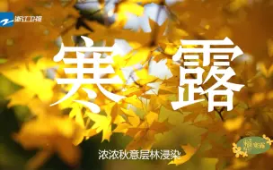 宋韵二十四节气-寒露