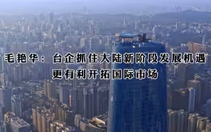 毛艳华：台企抓住大陆新阶段发展机遇更有利开拓国际市场