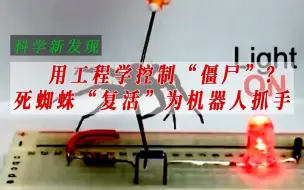 死蜘蛛“复活”为机器人抓手