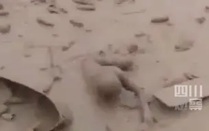秘鲁发生大规模山体滑坡泥石流