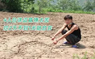4名网友合谋盗墓，嫌太苦挖2天不到1米就放弃 警方：已刑拘