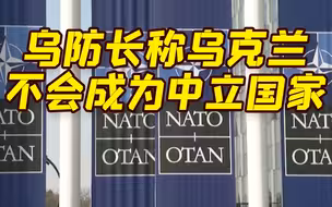 乌防长称乌克兰不会成为中立国家：克里姆林宫的说客们别指望了
