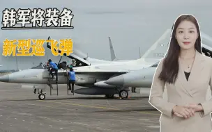 朝鲜无人机大闹韩国后，韩国斩首部队装备巡飞弹，可用于刺杀要员