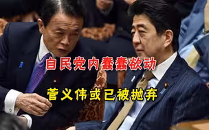 日本下一任首相会是谁？菅义伟或已提前出局，关键看安倍和麻生