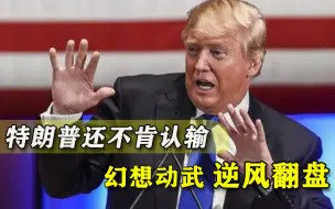 还想靠“戒严”挽回败局？特朗普一系列阴招疑似曝光，他真没死心