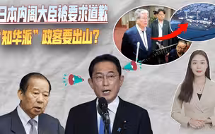 日本大臣说了真话被要求道歉，为缓和中日关系，岸田请人套近乎