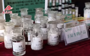 源于自然又能回归自然的聚乳酸