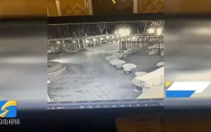 司机倒车撞到盆景浑然不觉 盆景居然搭顺风车跟着跑了