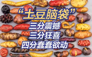 来自秘鲁的土豆震撼：近4000种土豆，吃法多到超出想象