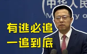 历经20年 职务犯罪嫌疑人许国俊被遣返回国 外交部：有逃必追