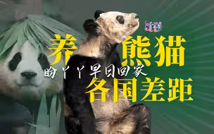 都是养大熊猫 为什么各国差距这么大