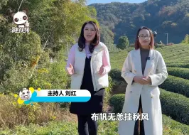 心乡往之！两岸青年助力乡村振兴：走进绍兴