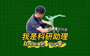 我是科研助理丨周博：玉米地里的“守护者”