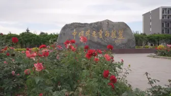 新中国外交自成体系 西方国关理论已不适用
