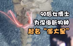 一起去抓水母吧！90后女博士为深海新物种起名“派大星”