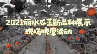 新奇！各种瓜菜新品种集中亮相！喜逛瓜菜新品“大观园”~