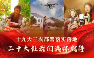 党代会快评丨十九大三农部署落实落地，二十大让我们满怀期待