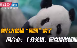 赠台大熊猫“团团”病了 国台办：十分关切，愿意提供帮助