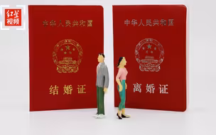 上海政协委员解释“结婚冷静期”：保障知情和调查权，并非随意反悔