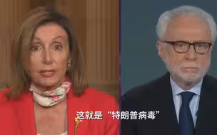 佩洛西：“特朗普病毒”正戕害美国人
