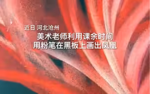 原来这就是妙笔生花！粉笔凤凰，见者上岸❤️
