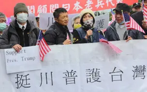台湾“独派”发起“挺川普大游行”，专家批：饥不择食、慌不择路