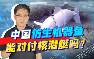 中国展示仿生的机器鱼，网友一片欢呼，美国核潜艇“噩梦”来了？