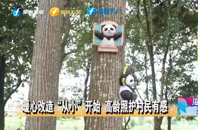 三明乡村暖心改造 两岸青年携手“竹”梦连心