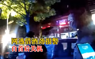 网逃借酒劲报警自首后关机：最终下定决心，又打开了手机