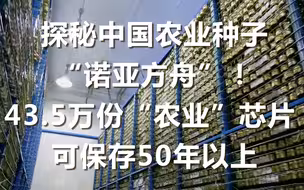 探秘中国农业种子“诺亚方舟”！43.5万份“农业”芯片 可保存50年以上