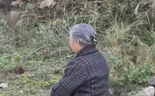8旬老母亲晕车  女儿和3个儿媳纷纷下车 陪妈妈步行40分钟回家