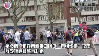 法国反疫苗抗议爆发大规模群殴