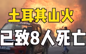 土耳其山火已致至少8人死亡 10人受伤